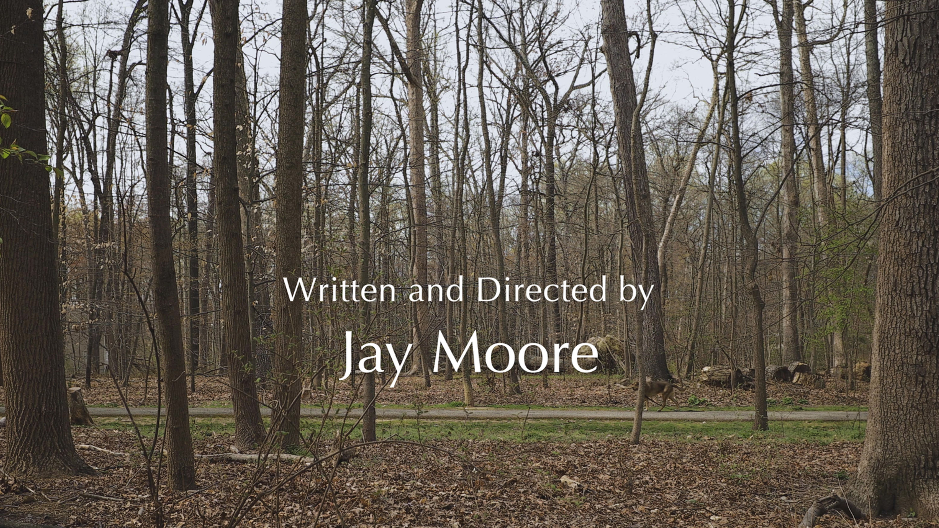 Film | Writing | Production